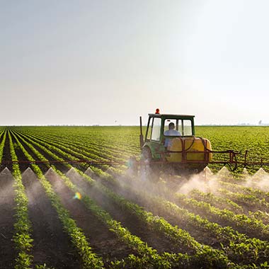 Un tractor agricol fertilizează culturile introducând azot sub formă de amoniac.